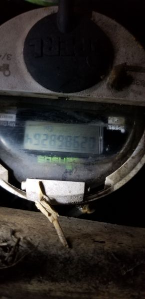20190415_212816.jpg
