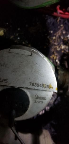 20190415_212854.jpg