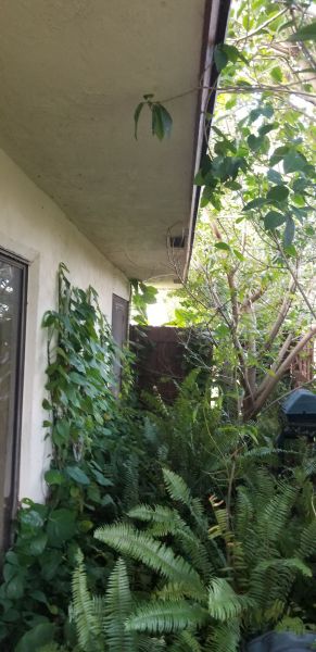 20190416_185227.jpg