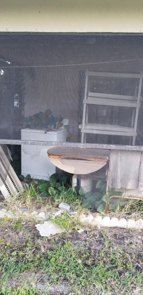 20190416_185531.jpg
