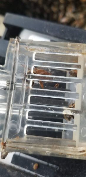 20190422_193848.jpg