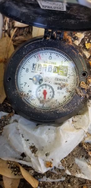 20190424_152030.jpg