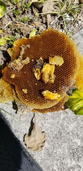 20190424_152057.jpg