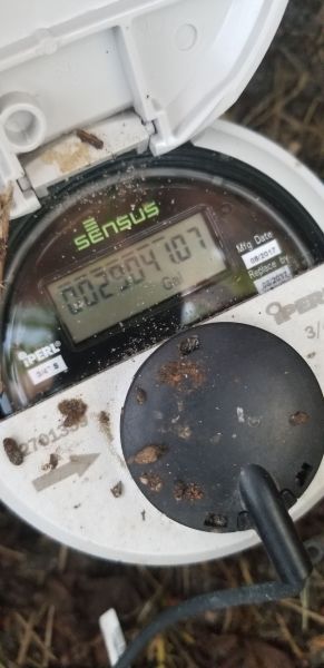 20190424_193856_28129.jpg
