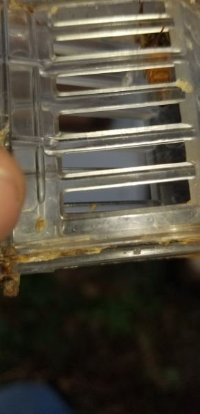 20190425_133204.jpg