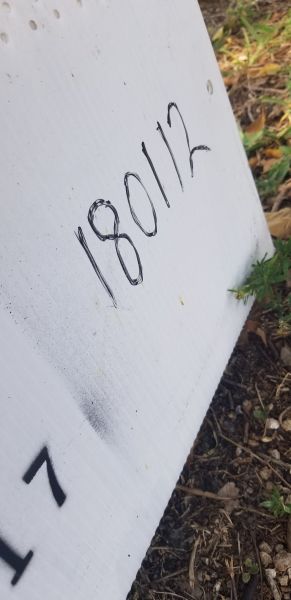 20190425_133229.jpg