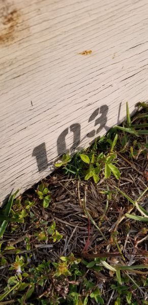 20190428_183105.jpg