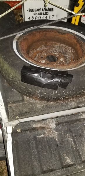 20190429_201523.jpg