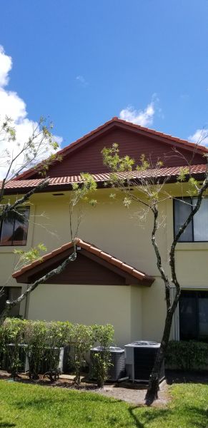 20190430_140456.jpg