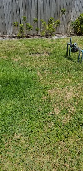 20190430_143646~0.jpg
