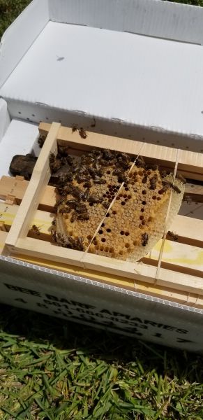 20190430_144145~0.jpg