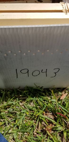 20190430_144148.jpg