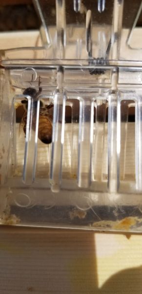 20190430_144330~0.jpg