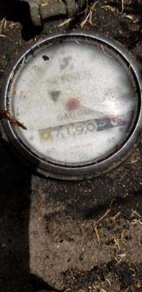 20190430_145008.jpg