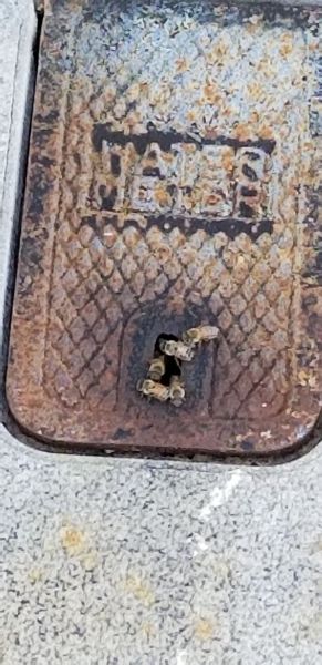 20190430_165442.jpg