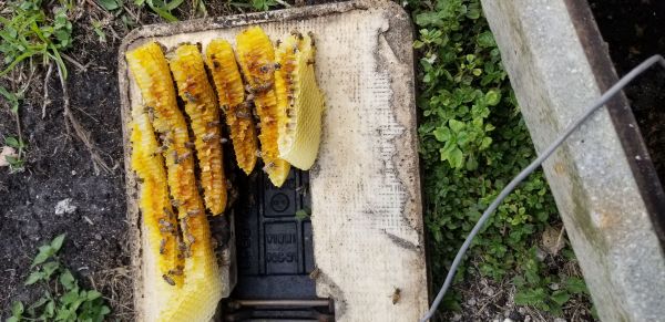 20190430_165756.jpg