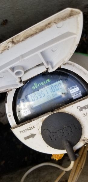 20190430_171324.jpg