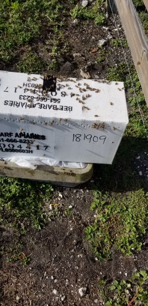 20190430_172424.jpg