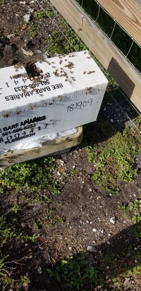 20190430_172500.jpg