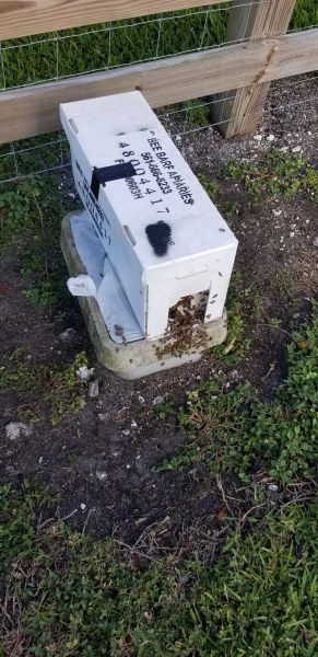 20190430_172547.jpg