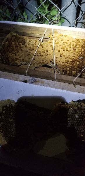 20190501_205412.jpg