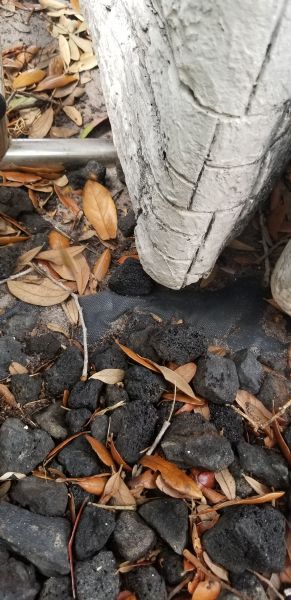 20190502_152827.jpg
