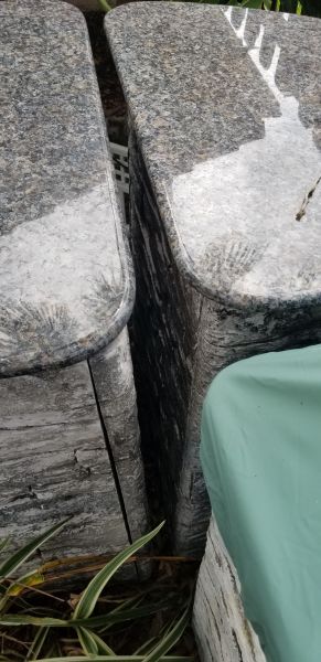 20190502_152848.jpg