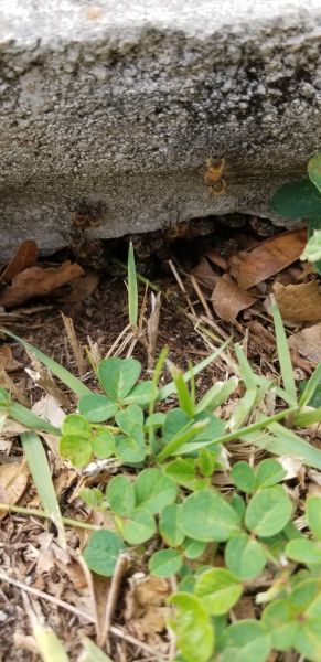 20190505_161452.jpg
