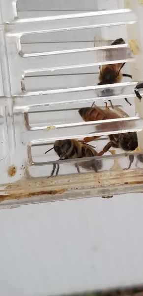 20190505_162524.jpg