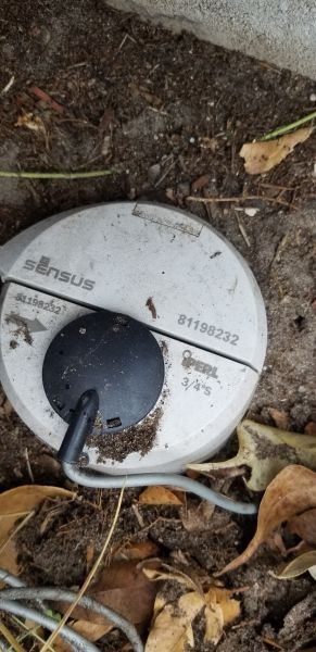 20190505_162846.jpg