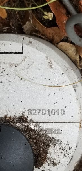 20190505_162902.jpg