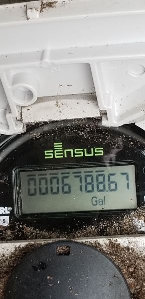 20190505_162909.jpg