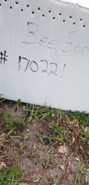 20190505_163153.jpg