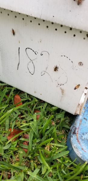 20190506_152739.jpg