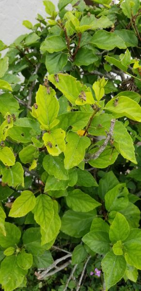 20190506_153706.jpg