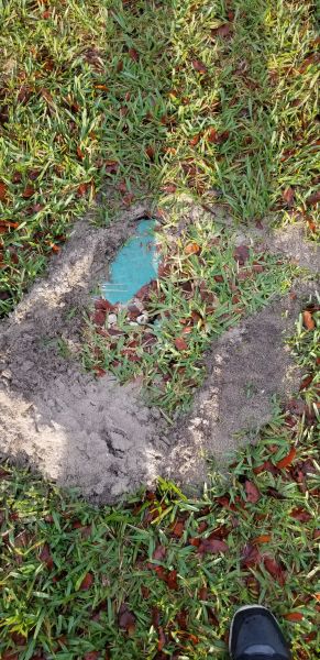 20190507_073324.jpg