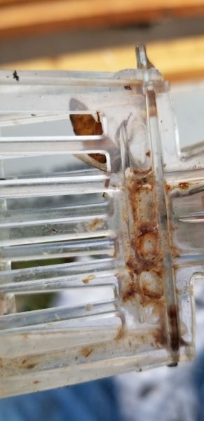 20190507_074517.jpg