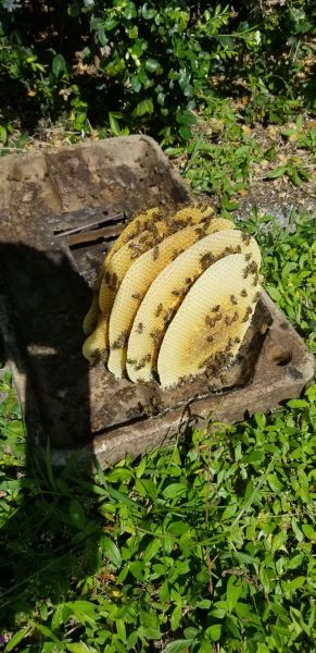 20190511_104638.jpg