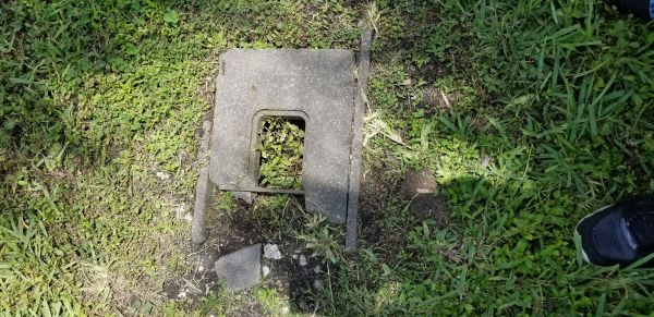 20190514_122456.jpg
