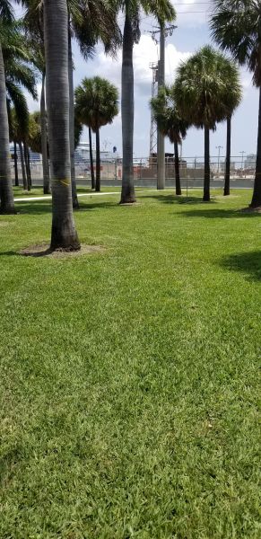20190514_123138.jpg