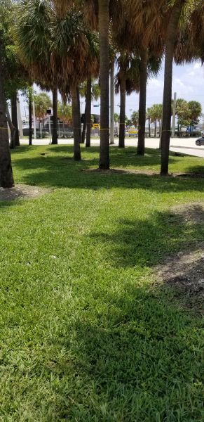 20190514_123141.jpg