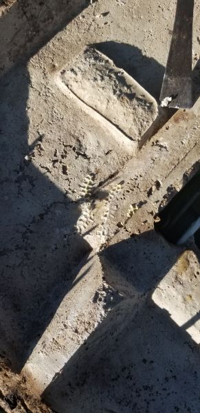 20190517_183405.jpg