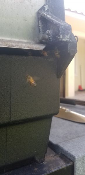20190520_125901.jpg