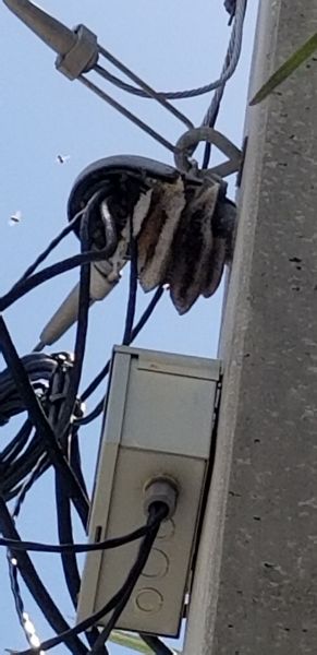 20190523_120656.jpg