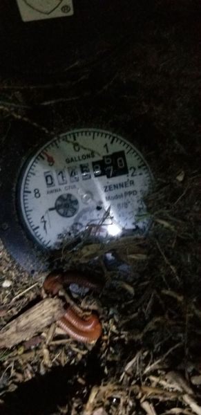 20190524_203107.jpg
