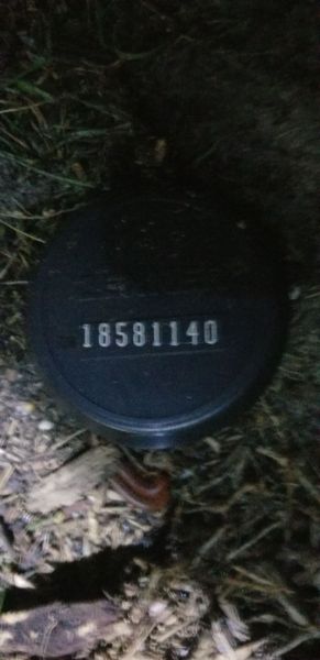 20190524_203113.jpg