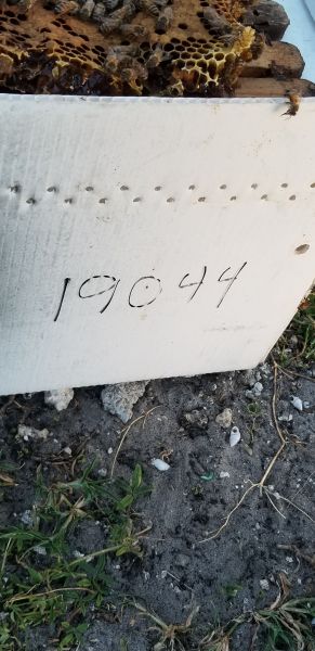 20190530_195244.jpg