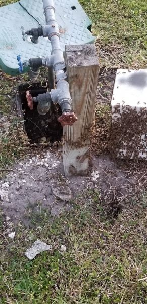 20190530_201805.jpg