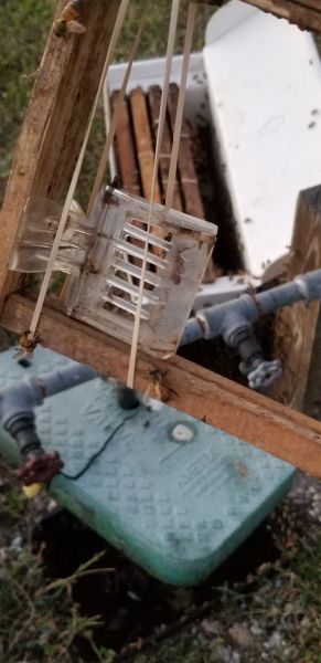 20190530_202026.jpg