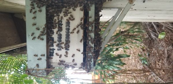 20190603_175233.jpg